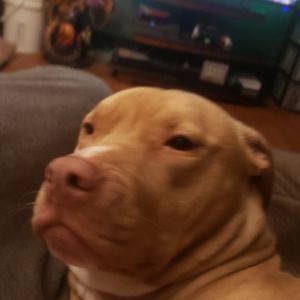 Meet your Posher, Paul